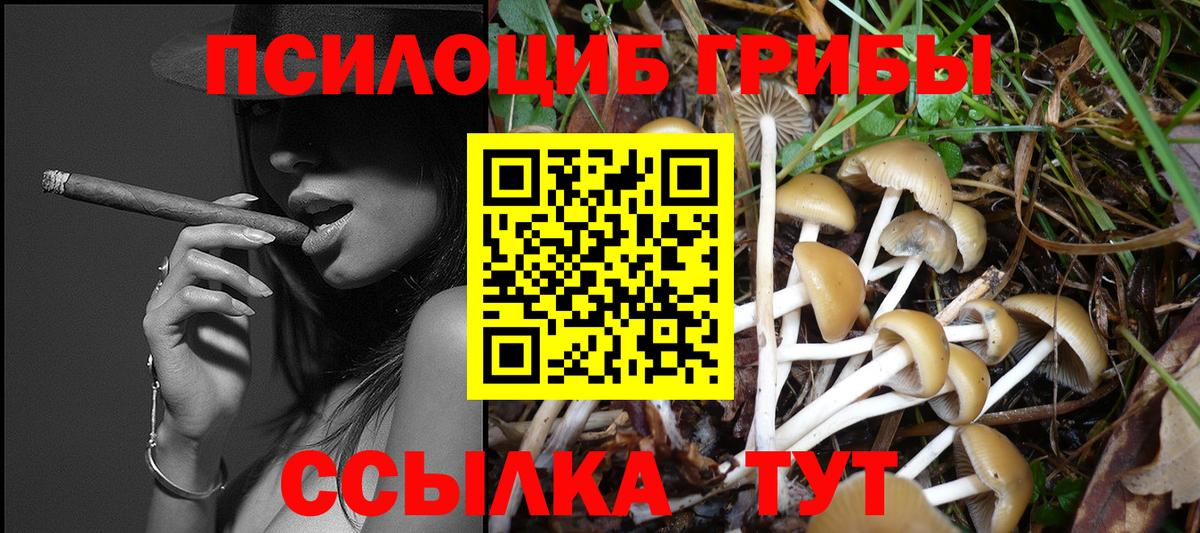 Галлюциногенные грибы GOLDEN TEACHER  Галлюциногенные грибы мицелий  Вход с VPN  Алексин 